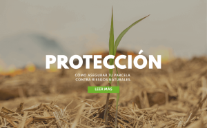 "Imagen que muestra cómo asegurar tu parcela contra riesgos naturales"